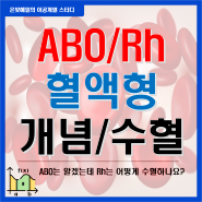 혈액형을 구분하는 ABO, Rh 시스템(수혈 방법은?)