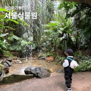 마곡 서울식물원 온실 비올때 아이와 가볼만한곳 실내데이트도 추천