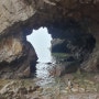 (경주여행)경주바닷가에 있는 "전촌용굴"사룡굴. 단용굴 포토존으로 가보자!!준비물?튼튼한 두다리입니다!!