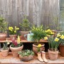 [정원사의 열두 달] 4월, 피어나는 정원의 생동감