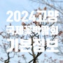 2024 고양국제꽃박람회 주차 및 행사정보