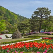 4월, 미동산수목원의 봄.