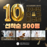 송도동물병원 24시송도힐동물메디컬센터 10주년 이벤트 혜택 추가 진행!
