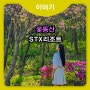 지금 꽃구경가기 좋은 STX리조트