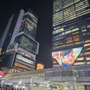 도쿄 쇼핑과 야경 - 시부야 돈키호테와 스크램블 스퀘어