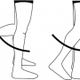 신대방PT 슬관절 무릎관절 knee joint의 운동