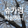 김포 종아리왁싱 인중왁싱 슈가링 왁싱허니