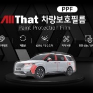 양산 PPF 최고급 차량 보호 필름 시공 가능한 상품 구성