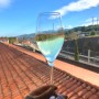 유럽 스페인 자유 여행 - 바르셀로나 시내 근교 와인 투어 프레시넷 카바 와이너리 가볼만한곳