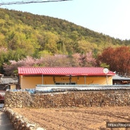 한적한 시골마을에서 즐길 수 있는 촌캉스 밀양빨간지붕