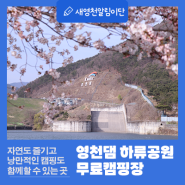 경북 캠핑장 영천댐 하류공원 무료캠핑장