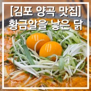김포 양곡 맛집 황금알을 낳은 닭 맛과 비주얼 모두 잡은 물닭갈비