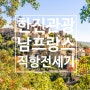 한진관광 [남프랑스 전세기] 프랑스 관광청 추천! 남프랑스 가장 아름다운 마을 로드 9일