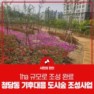 천안시, ‘청당동 기후대응 도시숲 조성사업’ 완료