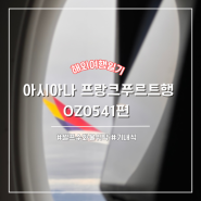 신혼여행 Day 1 | 아시아나 셀프 수화물 + 프랑크푸르트행 아시아나항공 OZ0541 탑승 후기 (feat 기내식)
