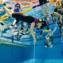 서울 프리다이빙 강습 후기 올림픽공원 다이빙 풀 도전
