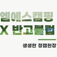 2024 반고 클럽 정기 캠프 텐트 설치(feat, 엠에스캠핑)