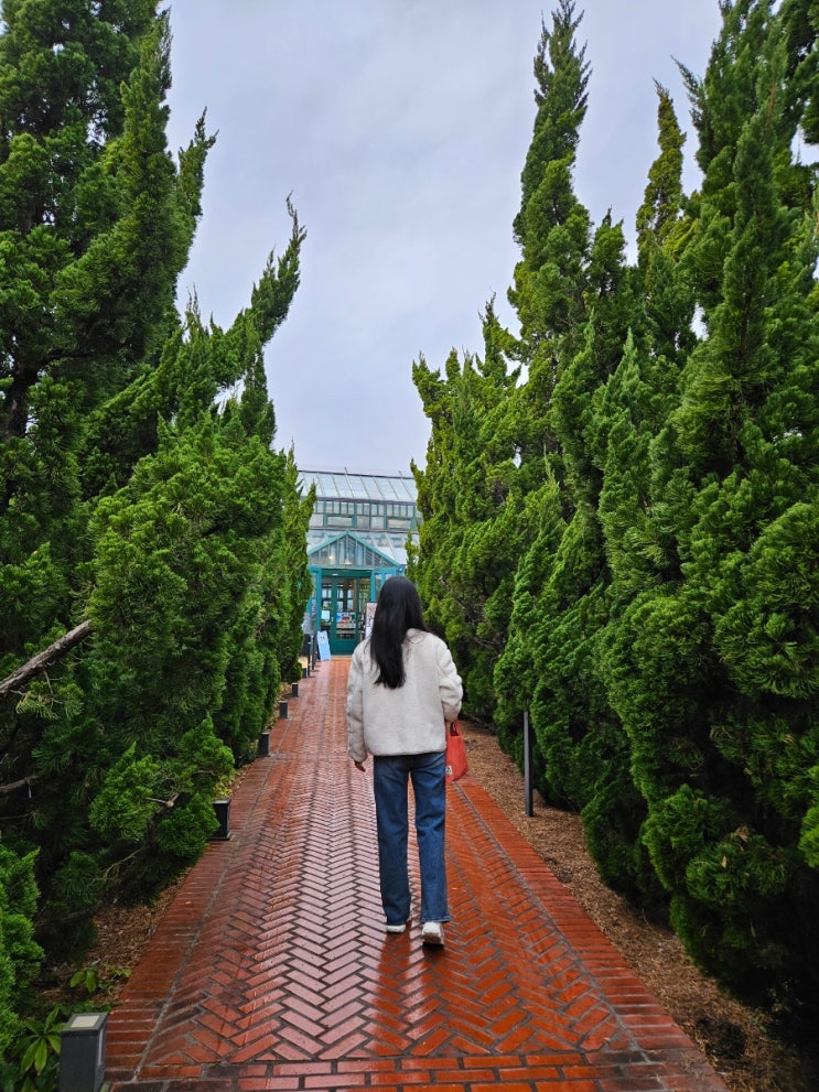 거제 외도 널서리 카페.