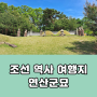 조선 역사 여행지 연산군묘 위치 볼거리