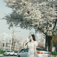 유난히도 따스했던 4월 저물어 가는 벚꽃 웨딩 스냅 촬영 이야기