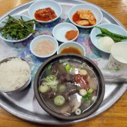 서울 촌놈 부산 여행 1 용호동 합천국밥집 주차 깔끔했던 돼지국밥