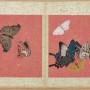 ‘호접지몽’ 떠올리는 옛그림속 꽃과 나비 (동아 2024.04.23.)