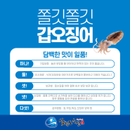 쫄깃쫄깃 달달한 갑오징어🦑