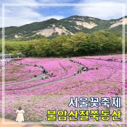 서울 불암산철쭉동산 꽃축제기간 프로그램 주차장안내
