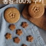통밀 100% 쿠키 만들기 (feat. 생강가루) 원볼 홈베이킹