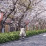 일본 자전거 등록, 자전거 보험, 자전거 대여에 관한 알찬 정보