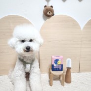 강아지 손가락 칫솔 일회용으로 위생적인 반려동물 듀얼 패드