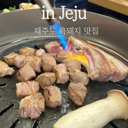 제주 성산 제주도 흑돼지 맛집 돌담애 성산흑돼지