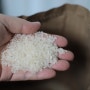 봄소풍 시즌 밥이 맛있는 당일도정쌀 오덕쌀로 봄도시락 싸세요.