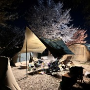 캠핑 면타프 가성비 헥사 타프 방수 폴대 추천 포레스트캠핑
