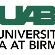 졸업생들의 취업률이 우수한 미국 대학교, The University of Alabama at Birmingham