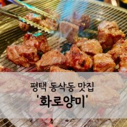 [평택 동삭동맛집] 양고기 맛집 ‘화로양미 평택점’추천메뉴