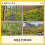 경기도 4월 5월 가볼 만한 봄꽃 축제 소개