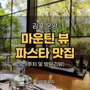 김포 운양동 레스토랑, 파스타 & 마운틴뷰 맛집 세라피코