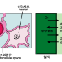 신경병증성통증 그 일곱번째이야