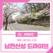 광주 벚꽃 명소 남한산성에서 드라이브하세요!