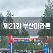 2024년 21회 부산마라톤 10km 참가 후기