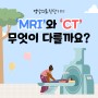 MRI CT 의료 차이 장기 영상 뼈
