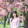 핑크 핑크 겹벚꽃이 만개한🌸 하남 미사경정공원