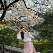 TOKYO(3) 시부야쇼핑, 신주쿠교엔 벚꽃구경 🌸