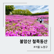 서울 불암산 철쭉축제 위치, 일정, 주차