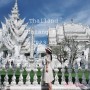 태국 자유여행 :: 치앙라이 가볼만한곳 투어 백색사원 & 블루템플, 빅부다 등