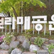 거의 1년만에 산책하러 간 보라매공원