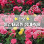 2024 울산대공원 장미축제 경남 5월 축제 정보