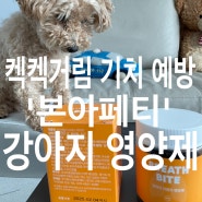 강아지 켁켁거림 기침소리 예방 본아페티 기관지 영양제 후기