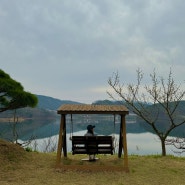 [충북 대청호] 대청호 벚꽃 여행 '달빛호수펜션' 리뷰!